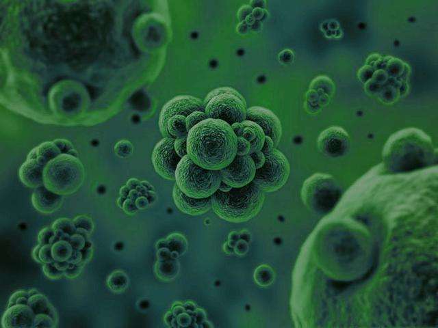 微生物是通過何種方式將廢水中的污染物分解去除掉的?